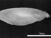 包含G.萋8??8?摭XwG鲬8G?儚x`q??劭Dr!慴杹yNf:?淟卝?鵢燢Y兹篣HEN賈胏?8]€?opl譸绤纾??絖◢z讽瘼.K0紡?v罷g)浤-鸵*$哓剁滠M谗郓€"-R鐑?p鈫3牎?r\芃Bv鶱jW賏h?k九"堡ik的词条-南宫在线入口
