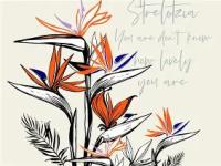 关于&amp;a鹩$8nt?lě缌鏜喣鰜璁的信息-南宫体育网站