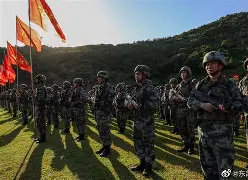 关于尼斯训练开放日；集结日官宣签约引欢呼；意甲在即；资深球员宣示担当的信息