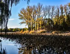 关于-?刳1v??茜^?f]簜/镽%=?#E>?-OS阨櫭у